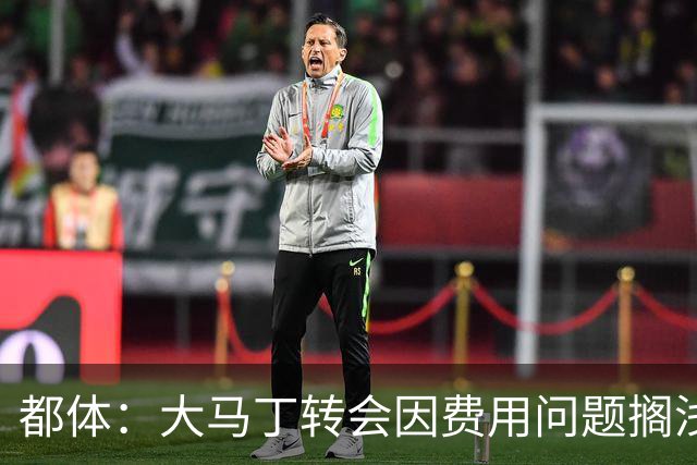 都体：大马丁转会因费用问题搁浅，尤文转而瞄准铃木彩艳维卡里奥